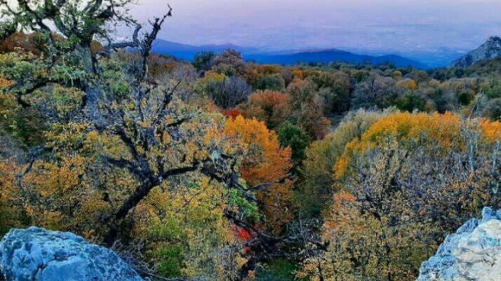 بوم گردی میا در مازندران