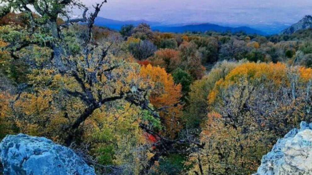 بوم گردی میا