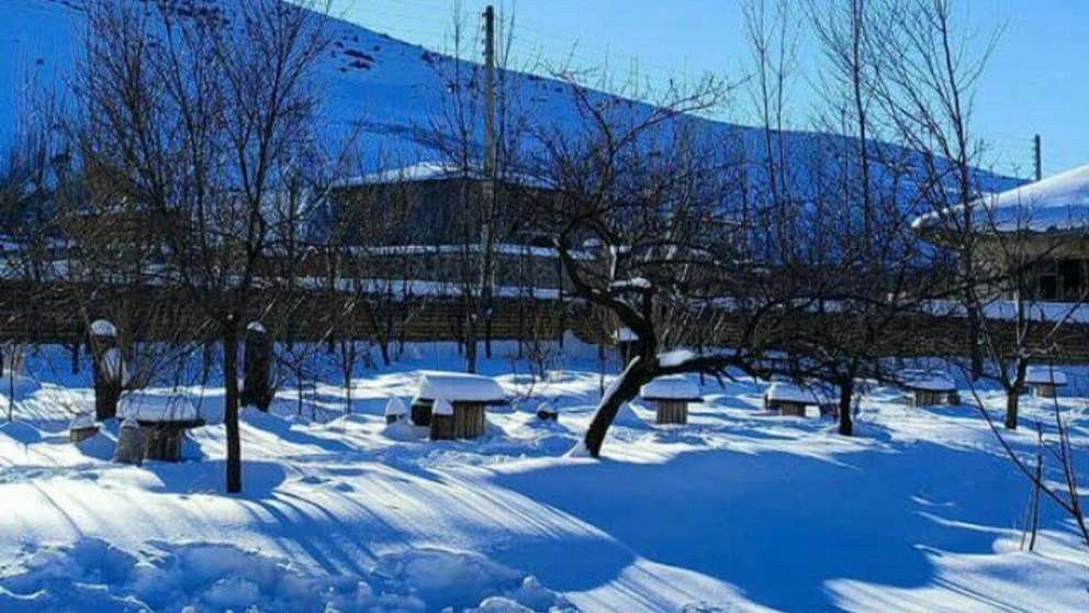 بوم گردی میا